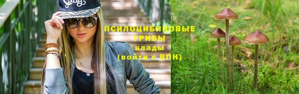 spice Лиски