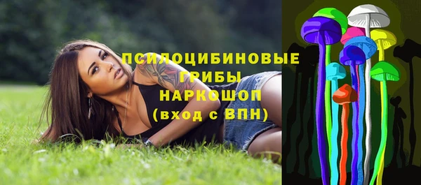 spice Лиски