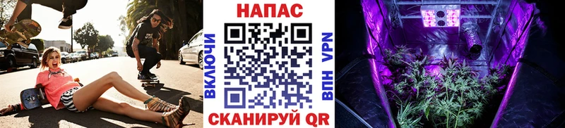 Марихуана конопля  Купить где  Конаково 